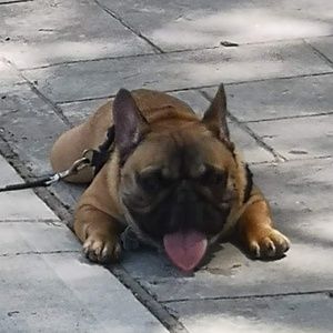 Meet your Posher, Mike